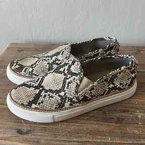 Steve Madden Jalia Snakeprint Slip On Sneakers Size 6.5